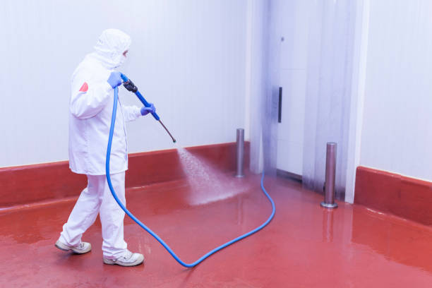 Professional Pressure Washing Services in Uhland, TX